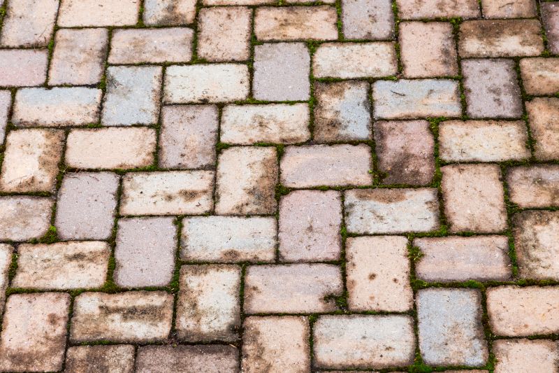 Brick Flatwork Repair in Riverview, FL