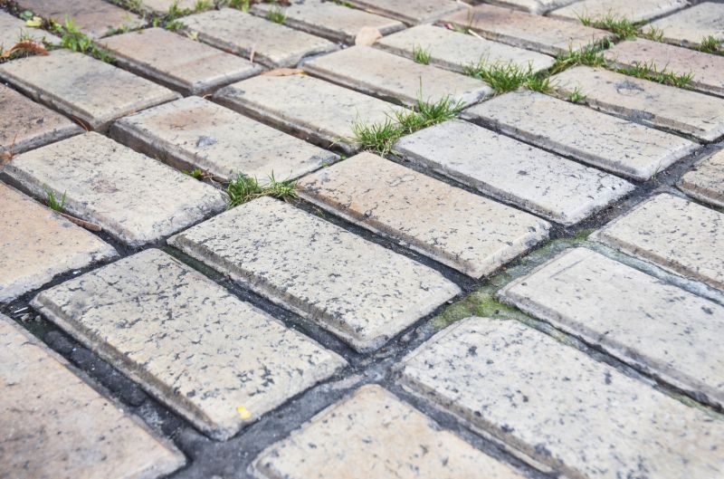 Brick Flatwork Repair in Seffner, FL