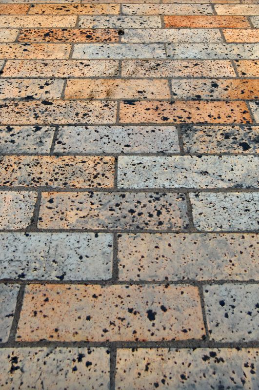 Brick Flatwork Repair in Thonotosassa, FL