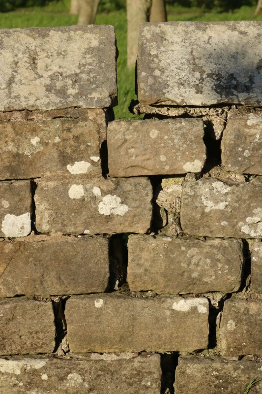 Stone Wall Repair in Kathleen, FL